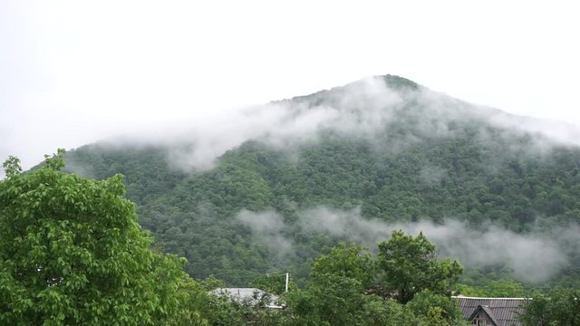 Green mountain during rainy fogy day