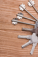keys to the apartment. house keys