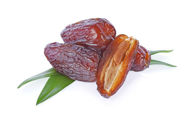 date palm on white background