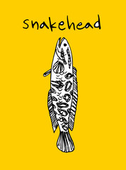 해산물 일러스트 / 손으로 그린 수산물 스케치