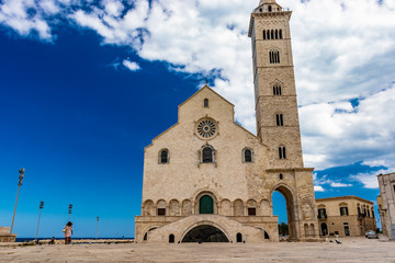 Obraz premium The beautiful Romanesque Cathedral Basilica of San Nicola Pellegrino, in Trani. Construction in limestone tuff stone, pink and white. A pointed arch under the bell tower. Italy, Puglia, Bari, Barletta