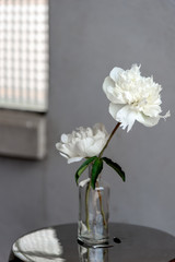 Two White Peonies in Glass and Twine Vase and Grey Concrete Wall