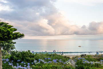 Whangamata beach, North Island, New Zealand