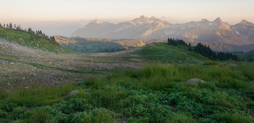 Grass, stone and meadow