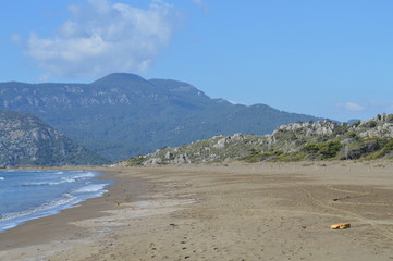 beach and sea