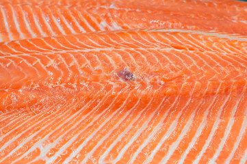 Fresh pink salmon meat texture background, close up picture of salmon meat