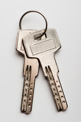 keys to the apartment. house keys