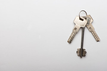 keys to the apartment. house keys