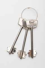 keys to the apartment. house keys