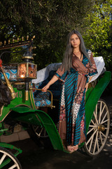 Beautiful young woman on the horse carriage