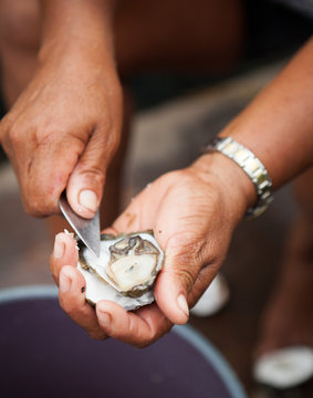 Oyster shucking.