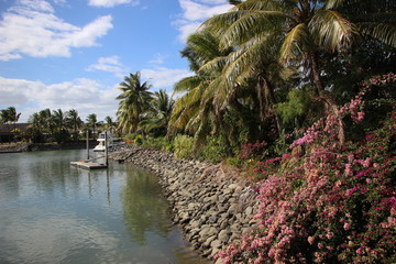 Fiji Island