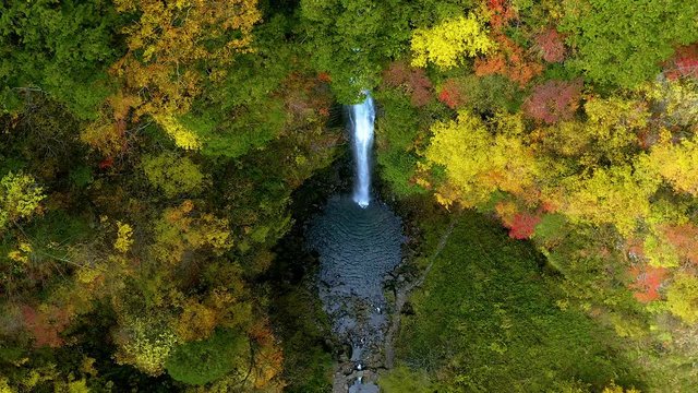 岐阜県　高樽の滝　紅葉 2018 空撮　ドローン