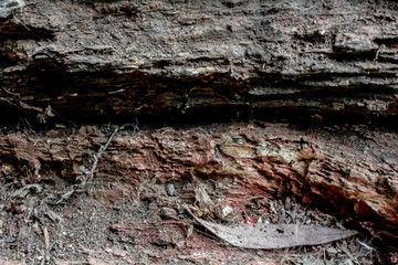 Close up of aged firewood.