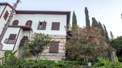 Green trees near the stone house