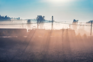 Freight train approaches to the station at foggy autumn morning time.