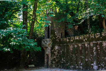 Ancient stone tower surrounded by trees and greenery