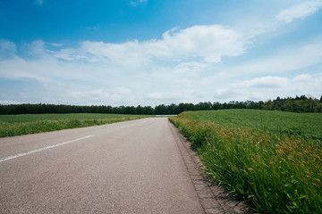roadway through forest,travel concept