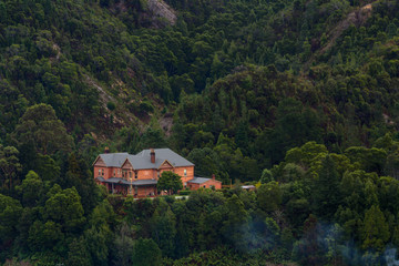 Hidden among the trees