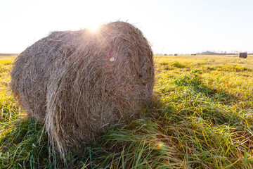 round bale of pressed hay lying in a field on a bright sunny day