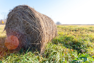 round bale of pressed hay lying in a field on a bright sunny day