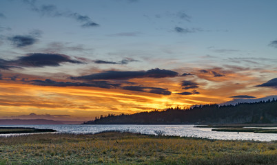 Sunset at Lynch Cove Wetlands Washington State