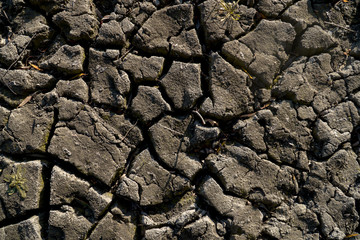 Dry Cracked Earth In Germany, Drought Of Summer 2018