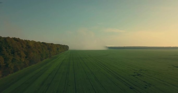 Mist rising and spreading on the field between trees with mistical effect