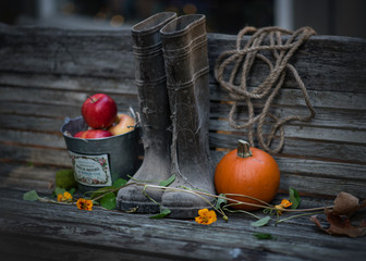 Old rubber boots, orange pumpkin and apples on rustic wooden background. Autumn harvest.