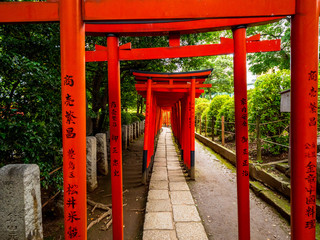 Fototapeta na wymiar Nezu Jinja Shrine - the famous Shinto Shrine in Tokyo Bunkyo