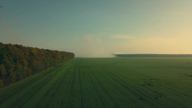 Amazing footage with mist rising and spreading on the field between trees with mistical effect in autum.