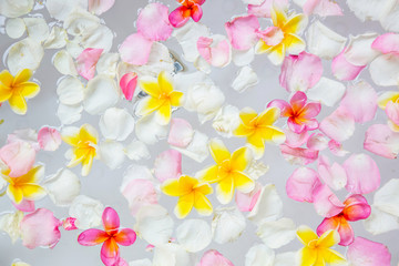
Frangipani petals and flowers in the bathtub, spa weekend, wellbeing, body care and beauty concept