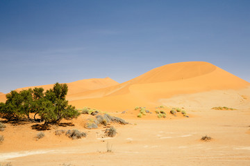 Namibia Sossusvlei desert African landscape