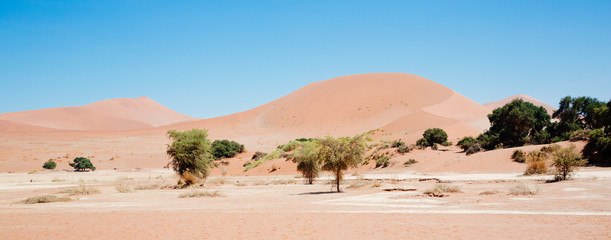 Fototapeta na wymiar Namibia Sossusvlei desert African landscape