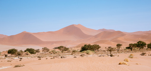 Fototapeta na wymiar Namibia Sossusvlei desert African landscape