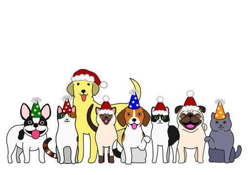 cute dogs and cats group with party hat