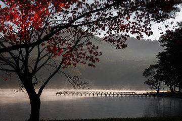 木崎湖キャンプ場　紅葉