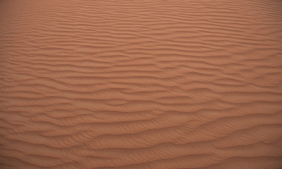 Desert landscape