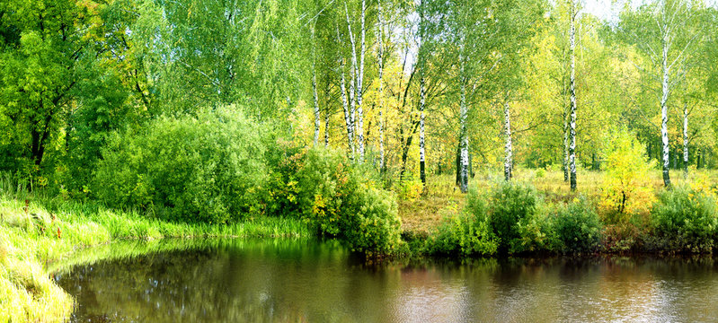 Fototapeta autumn landscape at the forest lake