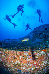 Scuba divers exploring a large underwater shipwreck in a clear, tropical ocean