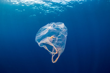 Underwater pollution:- A discarded plastic carrier bag drifting in a tropical, blue water ocean - Powered by Adobe