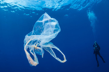 A background SCUBA diver next to a drifting, discarded plastic bag in a tropical ocean