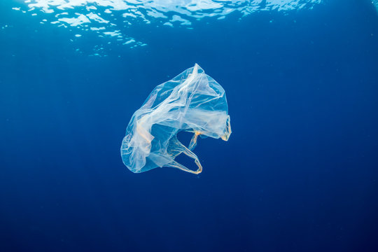 Plastic pollution:- A discarded plastic bag floats in a clear, blue water, tropical ocean