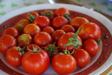 tomatos