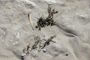 North Sea island Wangerooge