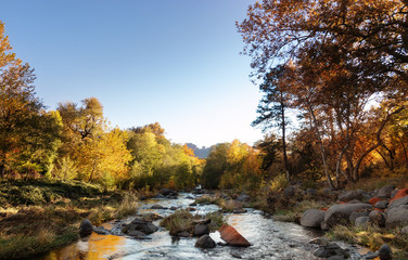 Oak Creek Canyon, Sedona, Arizona,USA