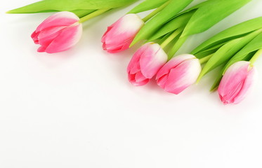 Obraz na płótnie Canvas Flowers background. bouquet of pink tulips on a white background. top view. copy space. Holiday concept.