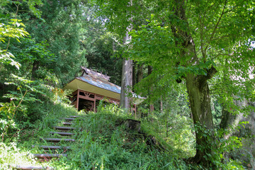 山林と神社