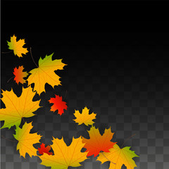 September Vector Background with Golden Falling Leaves. Autumn Illustration with Maple Red, Orange, Yellow Foliage. Isolated Leaf on Transparent Background. Bright Swirl. Suitable for Posters.