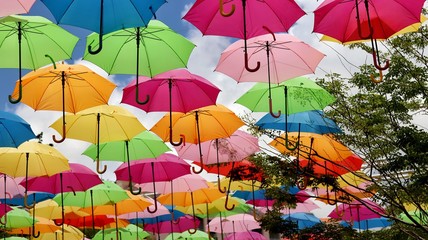 Umbrella Road
